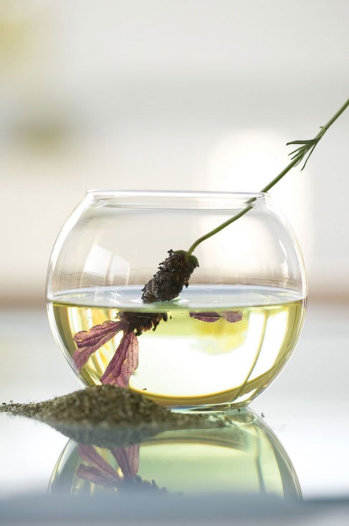 Natural Acne Treatment Recipes Lavender oil photo: Natural Acne Treatment Recipes