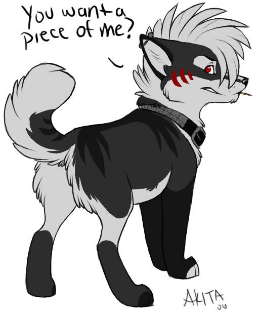 black anime wolf pup. Akita.jpg Anime Black/Grey Pup