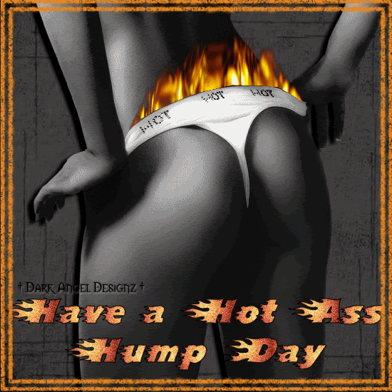 Hump Day MySpace Comments and Graphics
