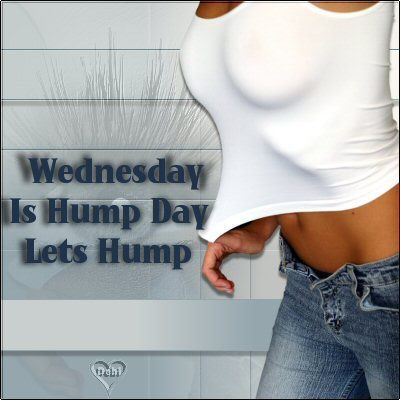Hump Day MySpace Comments and Graphics