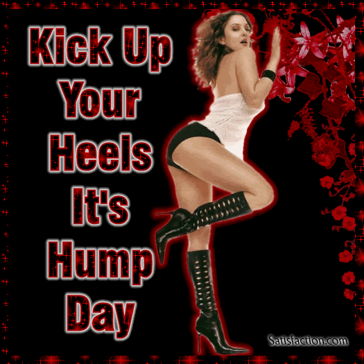 Hump Day Images, Quotes, Comments, Graphics