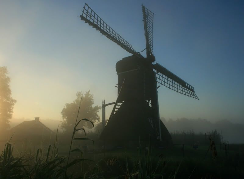 Fotografie