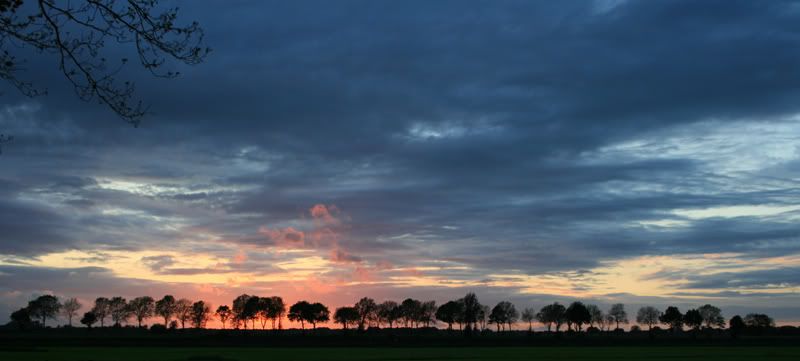 Fotografie