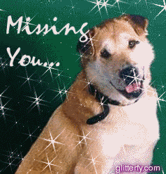 Missing You Dog