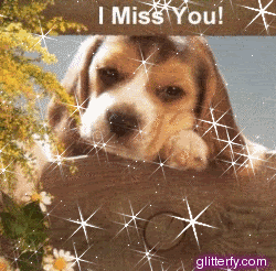 Puppy Miss You