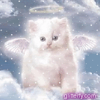 angel_kitty.gif