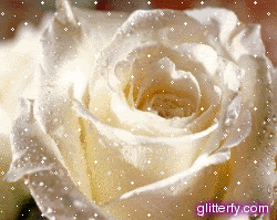 white_rose.gif