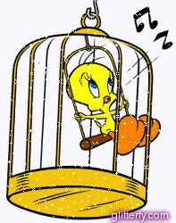 Tweety In Cage