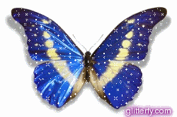 http://i166.photobucket.com/albums/u94/glitterfy/graphics/98/butterfly3.gif