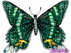 green_butterfly.gif
