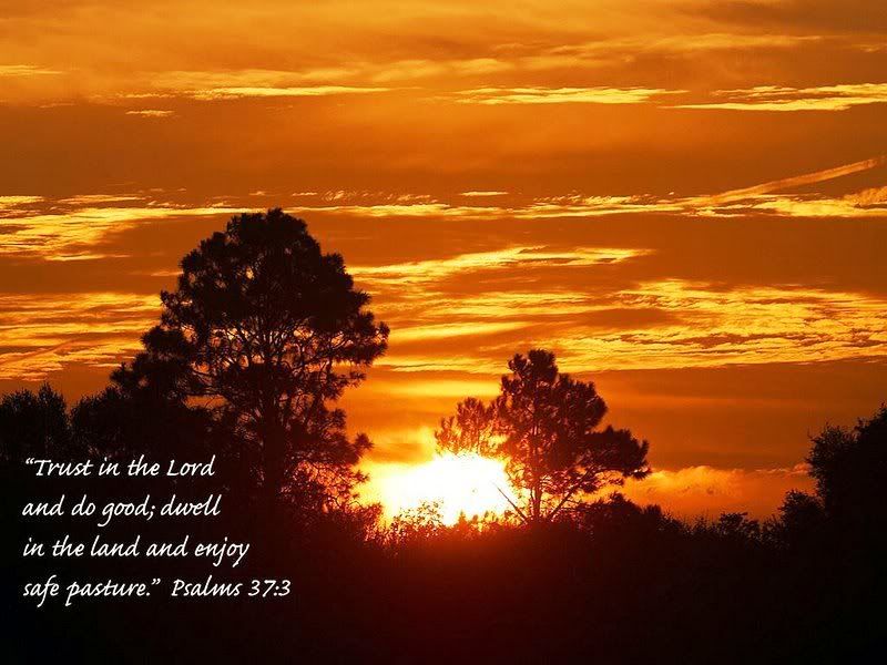 Psalm 37:3 Pictures, Images and Photos