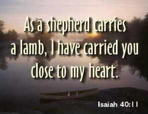 Isaiah 40:11 Pictures, Images and Photos