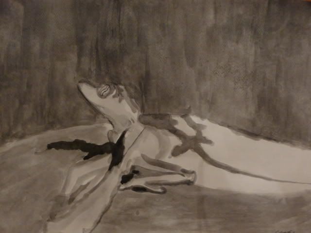 P1010055-1.jpg