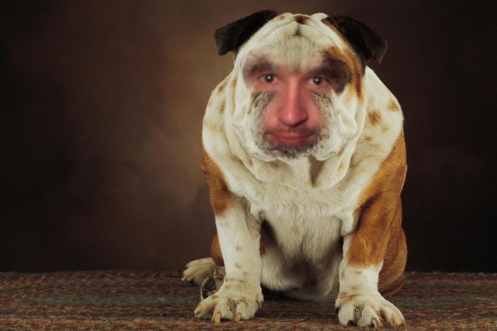 ENJOYINGTHEDOGDAYSOFWINTERONMYVACAT.jpg a freind friends dog image by sweetbl0nd3