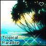 Tropical Paradise avatar