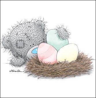 teddybirdnest.jpg