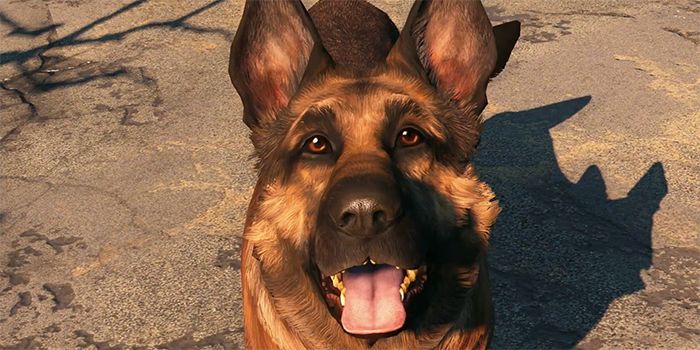 Dogmeat Video Game Animals
