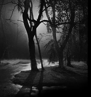 rain.jpg rain image by KATIE_BUG0915