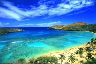 Nature Wallpaper Collection