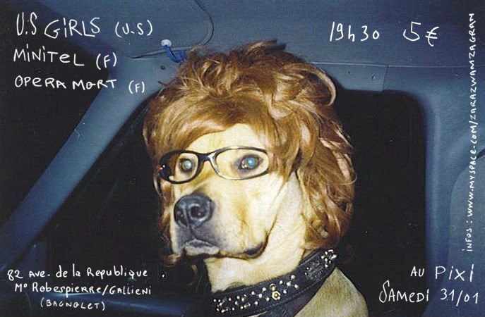 Résultat de recherche d'images pour "chien humour"