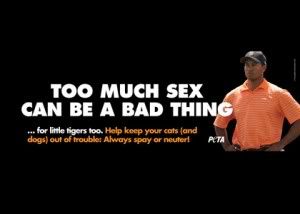 Tiger PETA Billboard