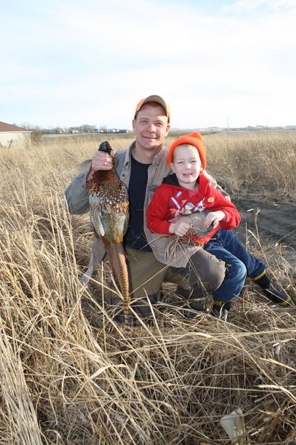pheasant006.jpg