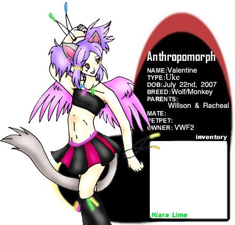 User Image