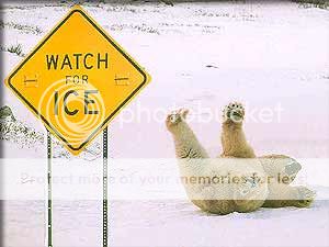 Watch_For_Ice.jpg