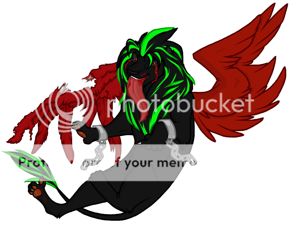 User Image