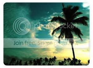 beach Pictures, Images and Photos