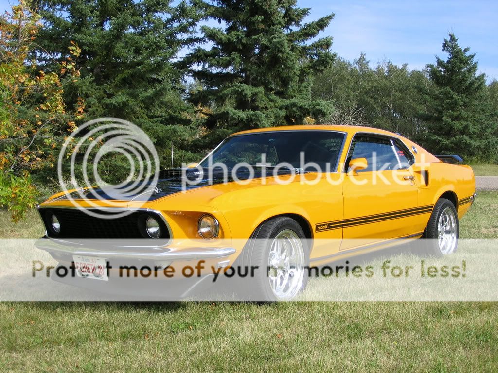 1969 Ford mustang myspace layouts #10