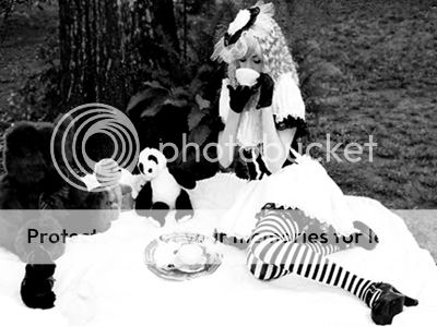 alice in wonderland Pictures, Images and Photos